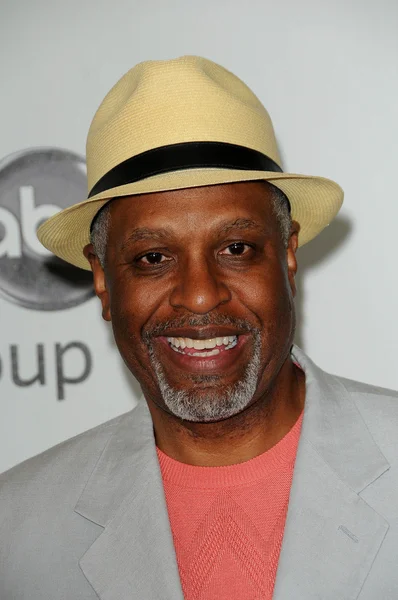 James Pickens Jr. at the Disney ABC Television Group Summer 2010 Press Tour - Evening, Beverly Hilton Hotel, Beverly Hills, CA. 08-01-10 — Stock Photo, Image