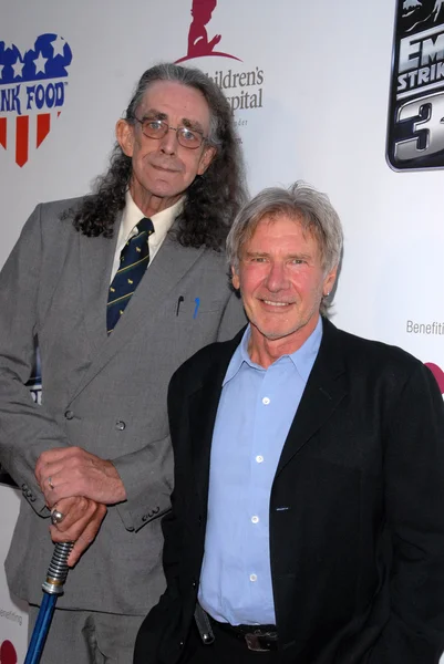 Peter mayhew und harrison ford — Stockfoto