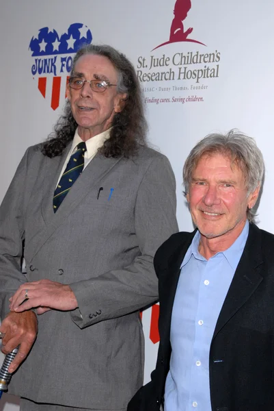 Peter Mayhew and Harrison Ford — Stock Photo, Image