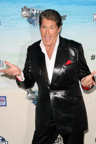 David Hasselhoff at the Comedy Central Roast of David Hasselhoff, Sony Studios, Culver City, CA. 08-01-10 — 图库照片