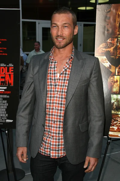 Andy Whitfield — Stockfoto