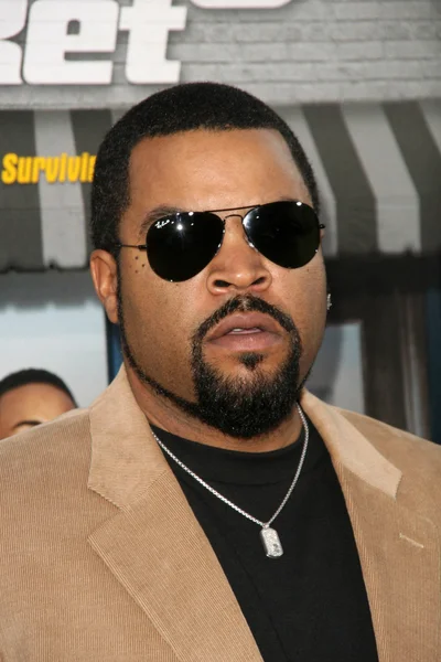 Ice Cube på världspremiären av "lottsedel", kinesiska Theater, Hollywood, ca. 08-12-10 — Stockfoto