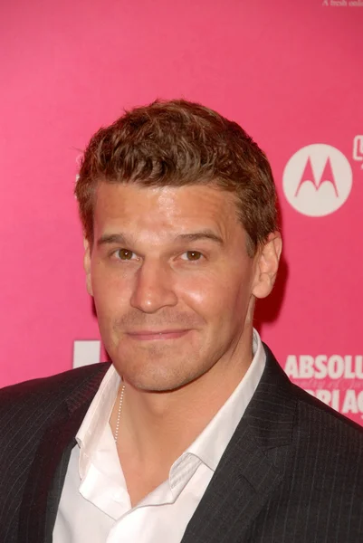 David Boreanaz — Stock Photo, Image