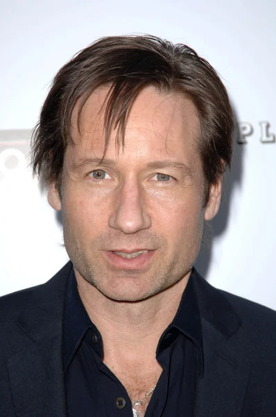 David Duchovny — Stockfoto