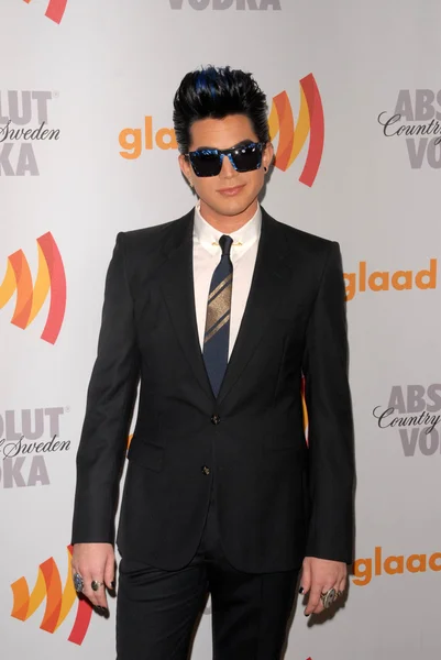 Adam Lambert no 21st Annual GLAAD Media Awards, Hyatt Regency Century Plaza, Century City, CA. 04-17-10 — Fotografia de Stock