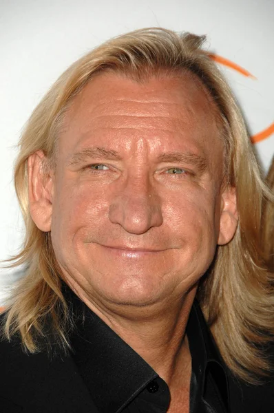 Joe Walsh. — Foto Stock