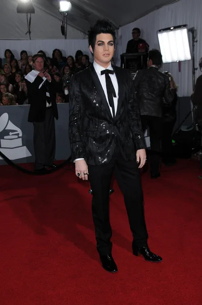 Adam Lambert at the 52nd Annual Grammy Awards - Arrivals, Staples Center, Los Angeles, CA. 01-31-10 — Stock Photo, Image