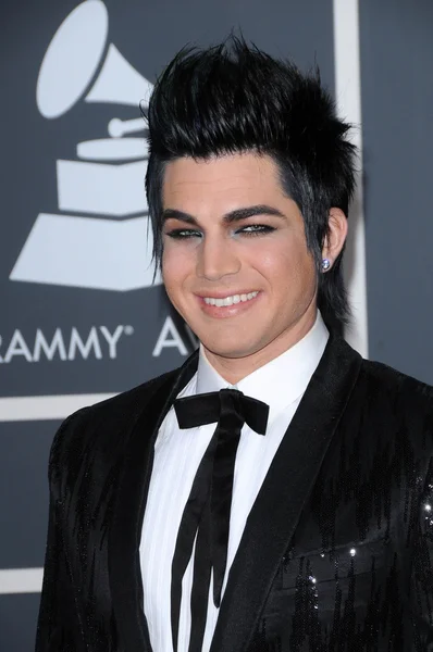 Adam Lambert at the 52nd Annual Grammy Awards - Arrivals, Staples Center, Los Angeles, CA. 01-31-10 — Stock Photo, Image