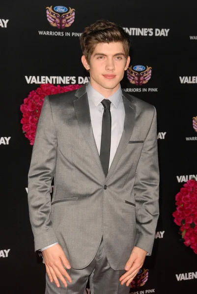 Carter Jenkins la premiera mondială "Valentine 's Day", Teatrul Chinezesc, Hollywood, CA. 02-08-10 — Fotografie, imagine de stoc