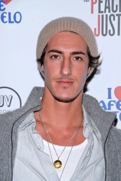 Eric Balfour alla mostra Artists for Peace and Justice "Artists for Haiti", Track 16 Gallery, Santa Monica, CA. 01-28-10 — Foto Stock