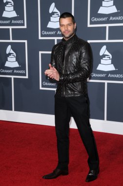 Ricky Martin