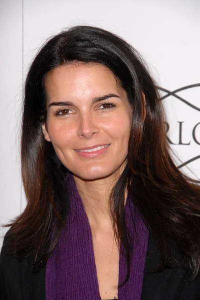 Angie harmon
