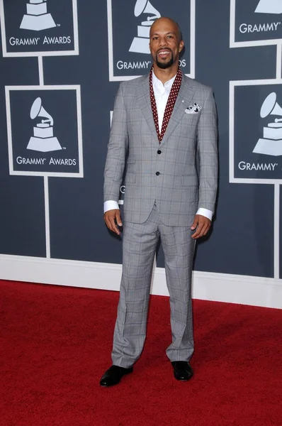 Common at the 52nd Annual Grammy Awards - Arrivals, Staples Center, Los Angeles, CA. 01-31-10 — 图库照片