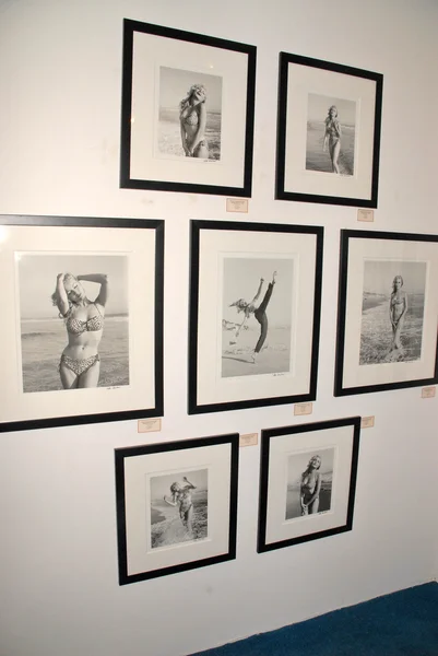 Fotografias EXCLUSIVAS em Julie Newmar — Fotografia de Stock
