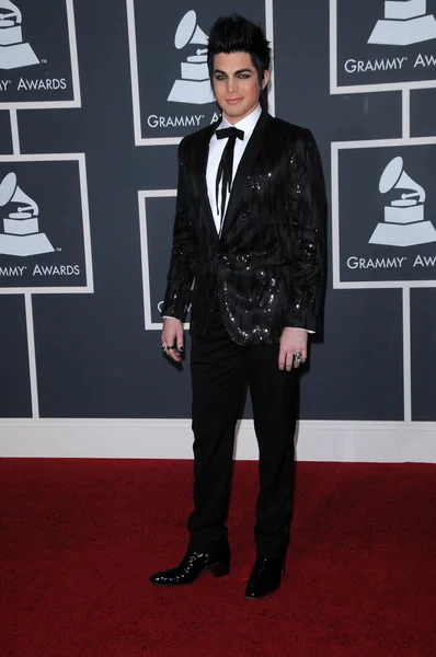 Adam Lambert no Grammy Awards 52nd Annual Arrivals, Staples Center, Los Angeles, CA. 01-31-10 — Fotografia de Stock