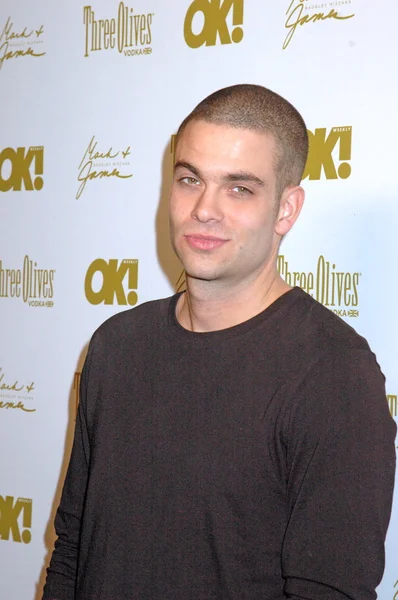 Mark Salling all'OK Magazine Pre-Oscar Party, Beso, Hollywood, CA. 03-05-10 — Foto Stock