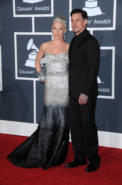 Pink at the 52nd Annual Grammy Awards - Arrivals, Staples Center, Los Angeles, CA. 01-31-10 — Stock Photo, Image