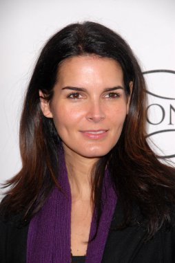 Angie harmon