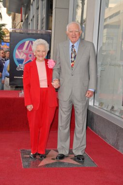 Mickie wapner ve joseph a. wapner
