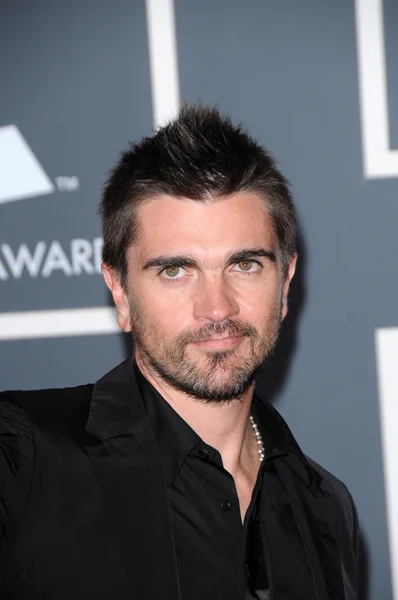 Juanes at the 522nd Annual Grammy Awards - Arrivals, Staples Center, Los Angeles, CA. 01-31-10 — стоковое фото