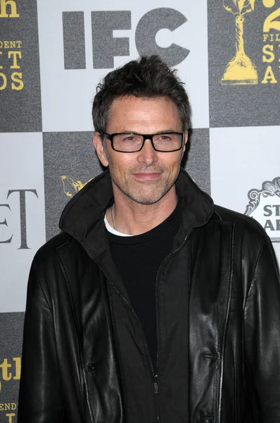 Tim Daly — Stockfoto