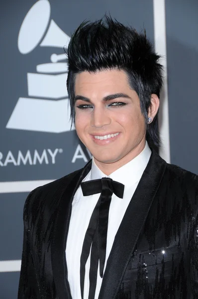 Adam Lambert al 52nd Annual Grammy Awards - Arrivi, Staples Center, Los Angeles, CA. 01-31-10 — Foto Stock