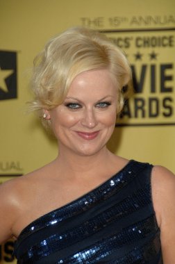 Amy Poehler