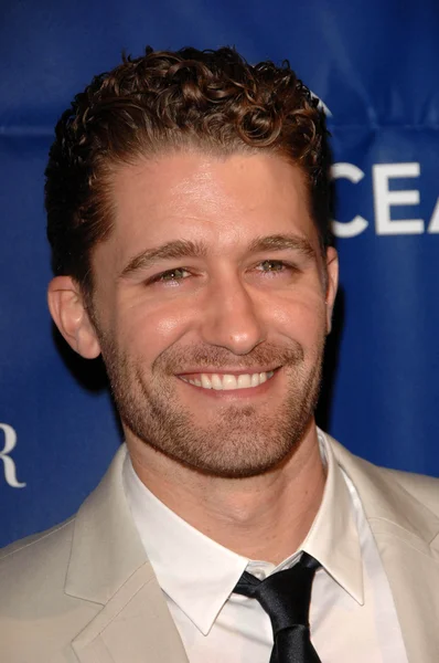 Matthew Morrison en la Gala de Premios de Socios Anuales de Oceana 2009, Residencia Privada, Los Ángeles, CA. 11-20-09 —  Fotos de Stock