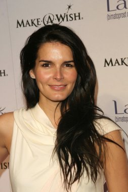 Angie harmon