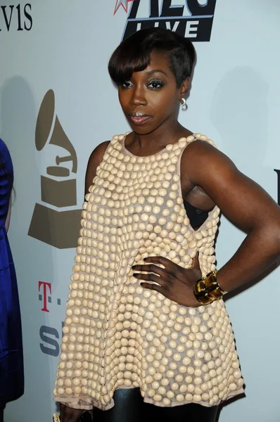 Estelle op het Salute To Icons Clive Davis Pre-Grammy Gala. Beverly Hilton Hotel, Beverly Hills, CA. 02-07-09 — Stockfoto