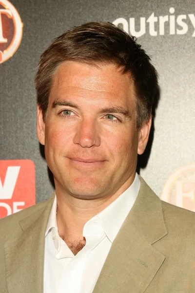 Michael Weatherly at TV Guide Magazine's Sexiest Stars Party. Sunset Tower Hotel, Los Angeles, CA. 03-24-09 — Stock Photo, Image