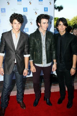 Jonas Brothers