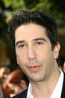 David Schwimmer
