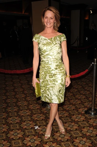 Melissa Leo no 61st Annual DGA Awards. Hyatt Regency Century Plaza, Los Angeles, CA. 01-31-09 — Fotografia de Stock