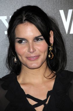 Angie harmon