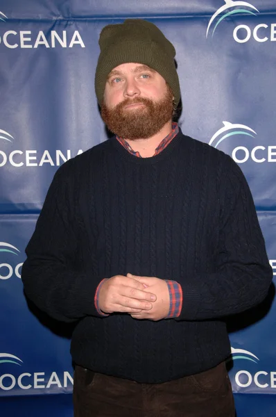 Zach Galifianakis — Foto Stock