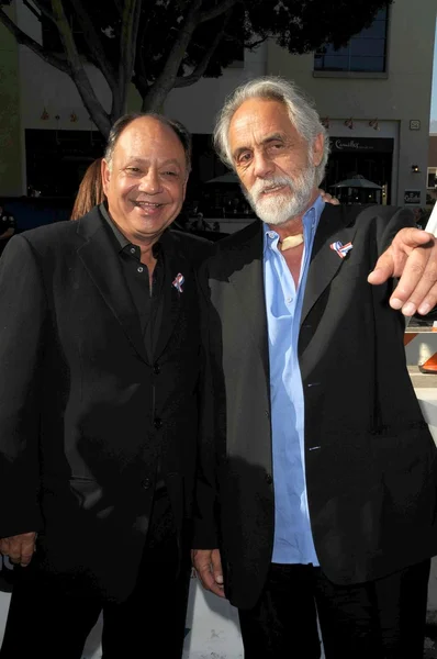 Cheech Marin y Tommy Chong — Foto de Stock