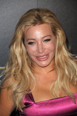Taylor Dayne