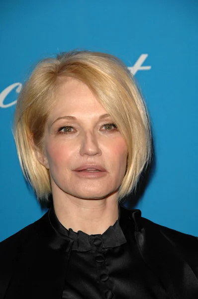 Ellen Barkin — Photo