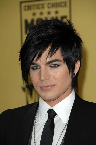 Adam Lambert at the 15th Annual Critics Choice Awards, Hollywood Palladium, Hollywood, CA. 01-15-10 — Stock Photo, Image