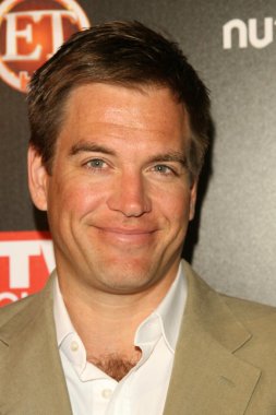 Michael Weatherly at TV Guide Magazine's Sexiest Stars Party. Sunset Tower Hotel, Los Angeles, CA. 03-24-09