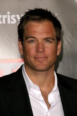 Michael Weatherly'nin