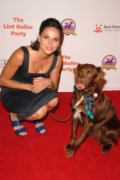 Lana parrilla ile köpek — Stok fotoğraf