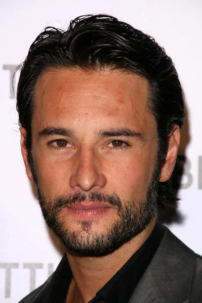 Rodrigo Santoro Ordförande — Stockfoto