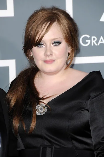 Adele im Presseraum bei der 51. Verleihung der Grammys. Grundnahrungsmittel Zentrum, los angeles, ca. 08-02-09 — Stockfoto