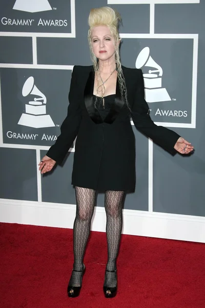 Cyndi Lauper at the 51st Annual GRAMMY Awards. Staples Center, Los Angeles, CA. 02-08-09 — Stock Photo, Image