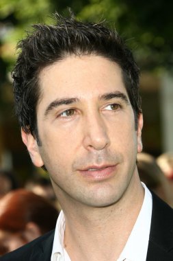 David Schwimmer