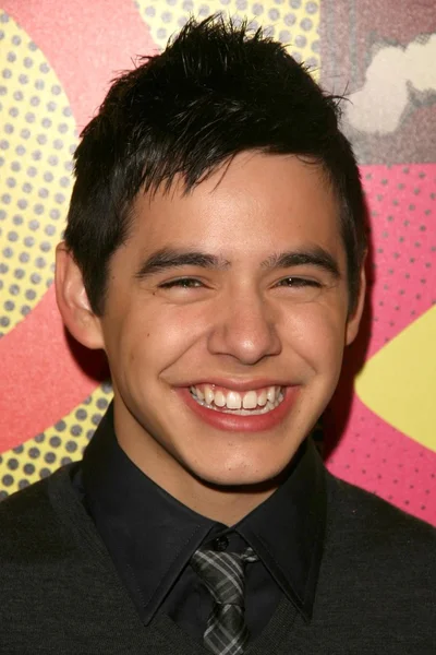 David Archuleta. — Foto de Stock