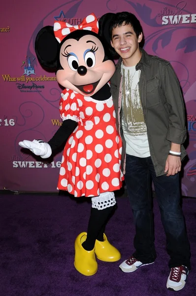 David Archuleta — Photo