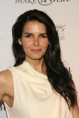 Angie harmon